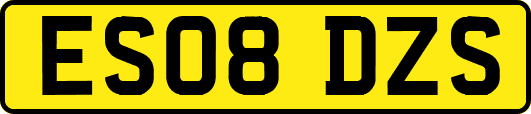 ES08DZS