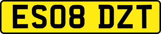 ES08DZT