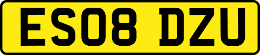ES08DZU