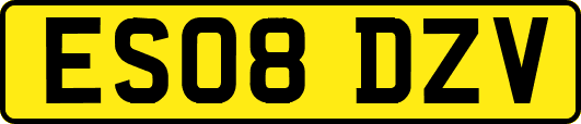 ES08DZV