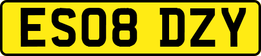 ES08DZY