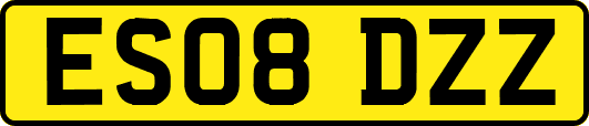 ES08DZZ