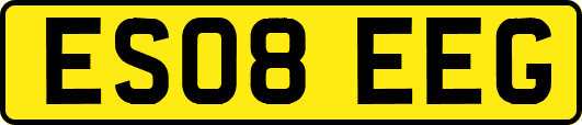 ES08EEG