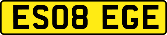 ES08EGE