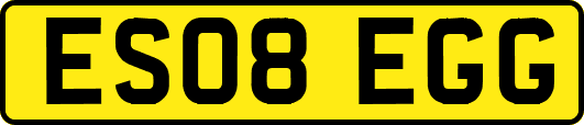 ES08EGG