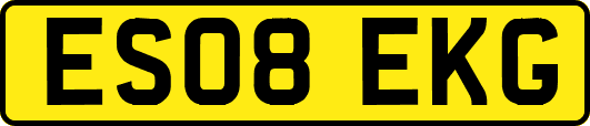 ES08EKG