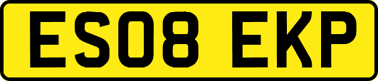 ES08EKP