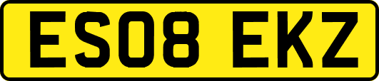 ES08EKZ