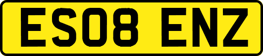 ES08ENZ