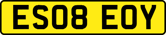 ES08EOY
