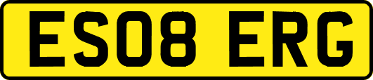 ES08ERG