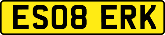 ES08ERK