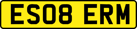 ES08ERM