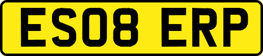 ES08ERP