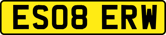 ES08ERW