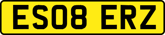 ES08ERZ