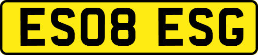 ES08ESG