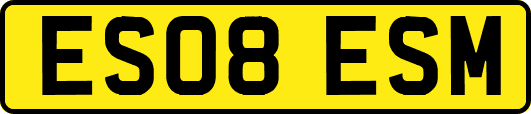 ES08ESM