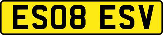 ES08ESV