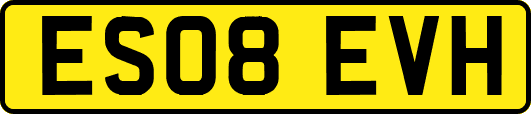 ES08EVH