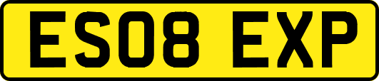 ES08EXP