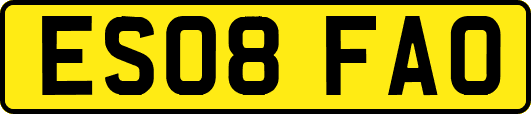 ES08FAO