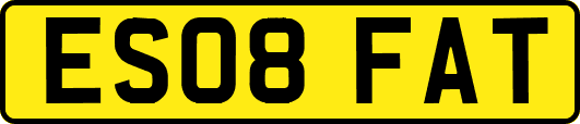 ES08FAT