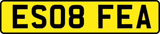 ES08FEA