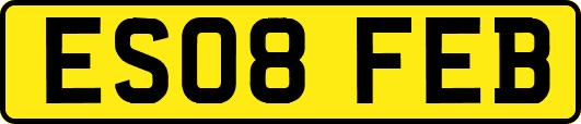 ES08FEB