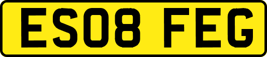 ES08FEG