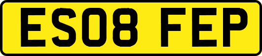 ES08FEP