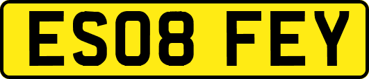 ES08FEY