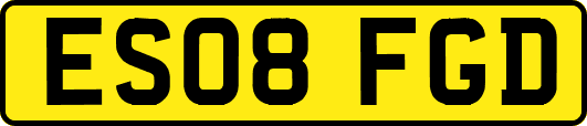 ES08FGD