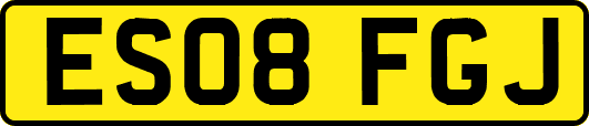 ES08FGJ