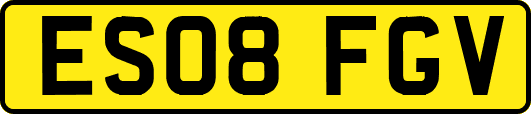 ES08FGV