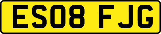 ES08FJG