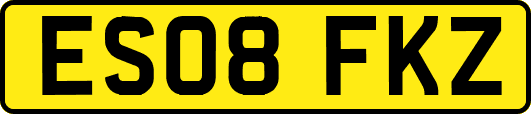 ES08FKZ