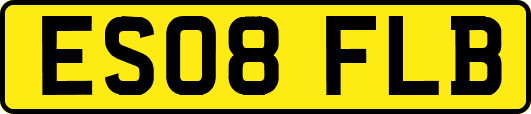 ES08FLB