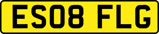 ES08FLG