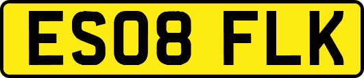 ES08FLK