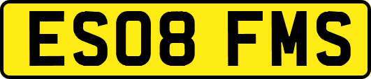 ES08FMS