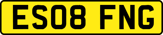 ES08FNG