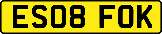 ES08FOK