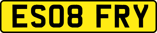 ES08FRY