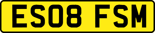 ES08FSM