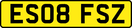 ES08FSZ