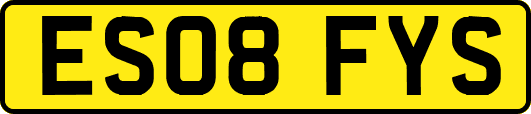 ES08FYS