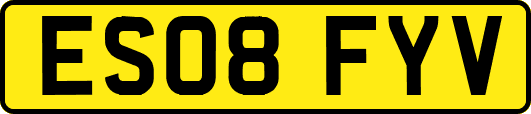 ES08FYV