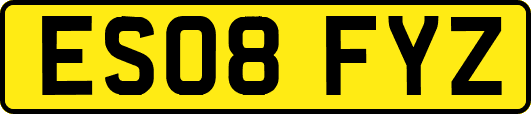 ES08FYZ