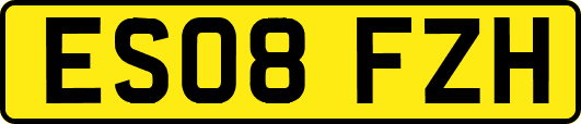 ES08FZH